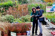 bloemen en planten vvbvanbree     1153